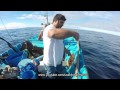 Fishing video, Pesca Açores, enchareu-Garoupa, fishing white trevally-grouper, pêche trevally.