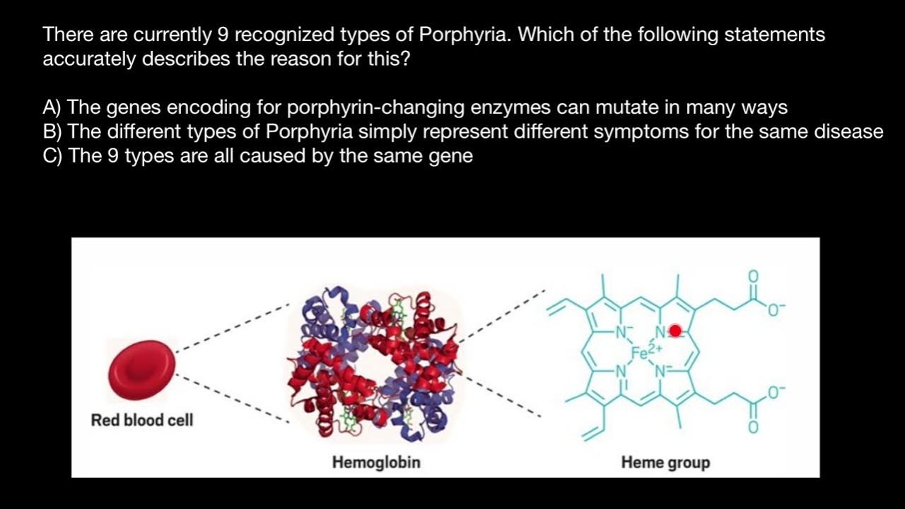 Porphyrin Ring in Hemoglobin and Chlorophyll YouTube