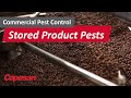 Commercial pest management common stored product pests