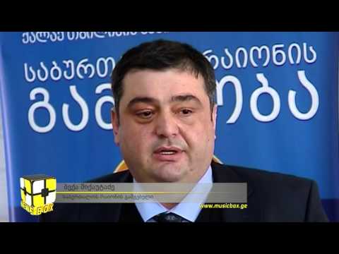 საბურთალოს რაიონის გამგებლის ანგარიში