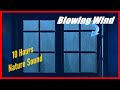 Blowing Wind Sound for Sleep or Relieve Stress, White Noise Winter Nature Sounds, 10 Hours