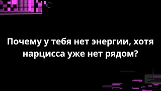 видео: Почему у тебя нет энергии, хотя нарцисса уже нет рядом? картинка: Почему у тебя нет энергии, хотя нарцисса уже нет рядом?