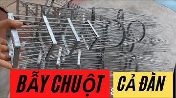 Lồng bẫy chuột - bẫy cả đàn ko sót con nào?E có báo giá trong clip:0862655889
