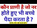 GK के 15 मजेदार सवाल जो आप शायद ही जानते होंगे Interesting Videos || GK in hindi #Gk #interestinggk