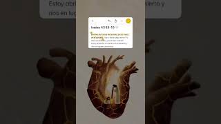 Gracias mi Dios por no solo redimirme, sino por olvidar mis pecados y hacerme nueva en ti ❤️