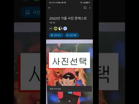 공유된 구글 포토 사진 앨범에 찍은 사진 업로드하기 Shorts 