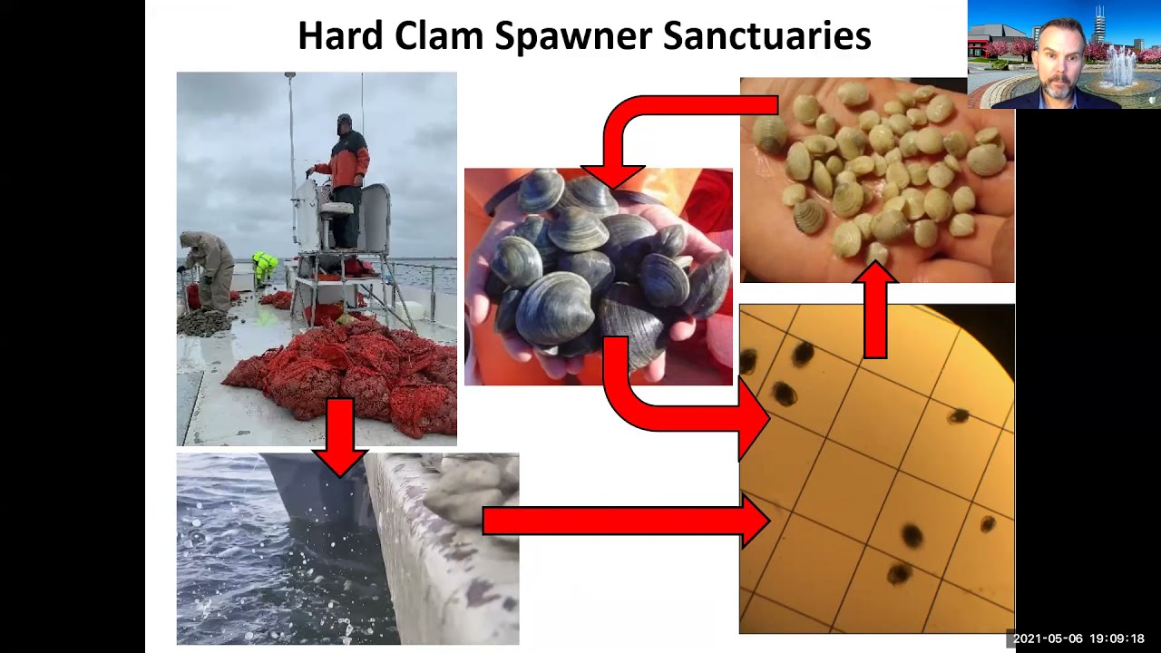 “Why Have Hard Clam Landings Increased by 1000% in Shinnecock Bay During the Past Decade?” 