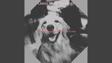 Pulsating Moods for Cute Puppies