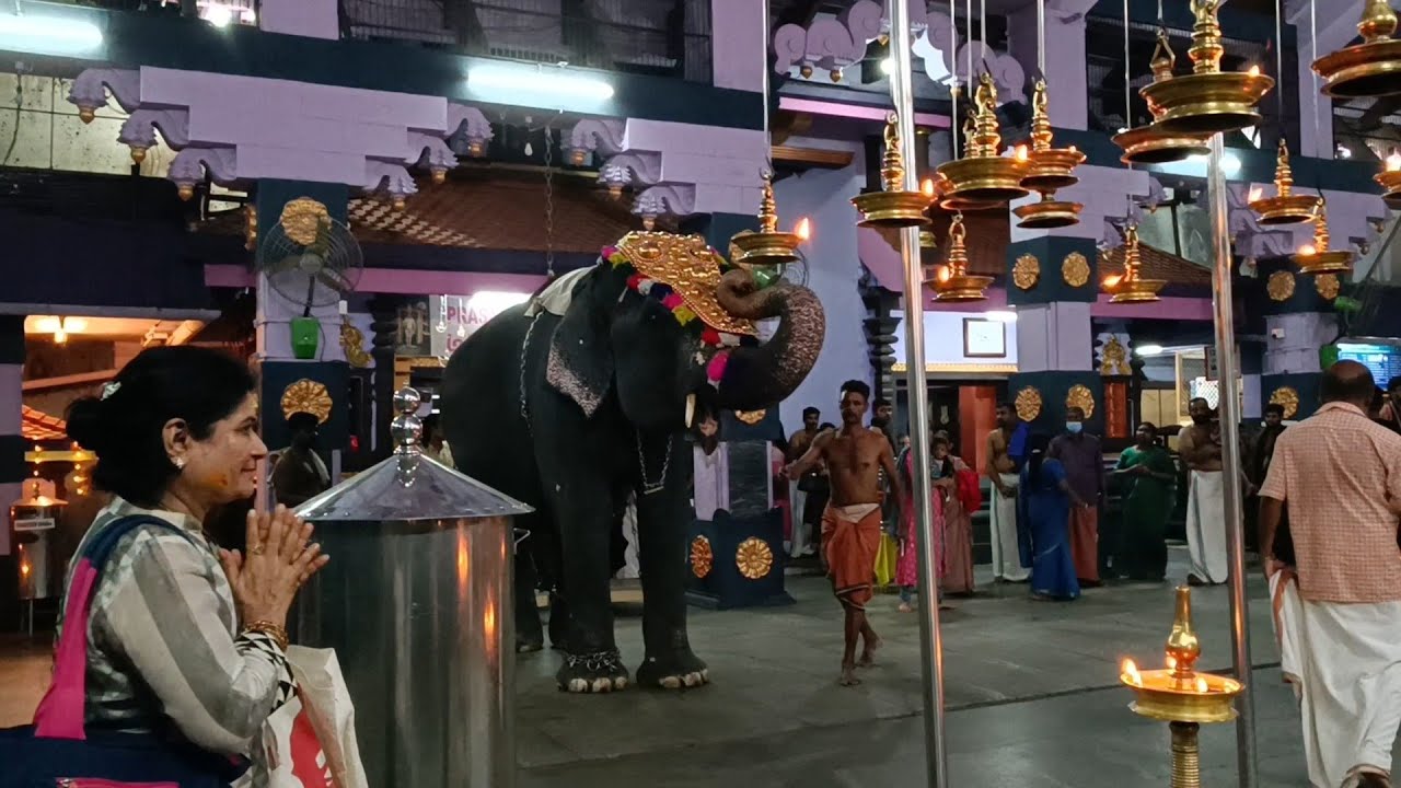 തിരുവമ്പാടി  അത്താഴ ശീവേലി / thiruvambadi shevali / thiruvambadi lakshmikutty / thiruvambadi