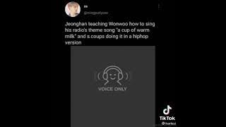 Wonwoo ringtone 2
