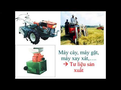 BÀI GIẢNG GDCD 8 TUẦN 23 (từ ngày 11/4/2020 đến 18/4/2020)
