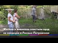 Жители и водолазы очистили пруд на экоакции в Лосино-Петровском