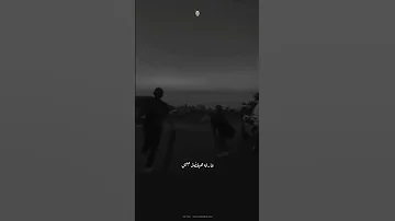 صحبي اللى كتفو في كتفي بيخليني مطمن Shorts 