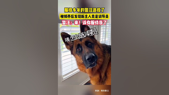 服役多年的警汪退役了，被领养后发现新主人竟是训导员，警汪：来！该你服侍我了。