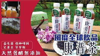 《果寶生技康普茶》台灣在地茶葉，發酵茶飲，喝的到美味，也 ... 