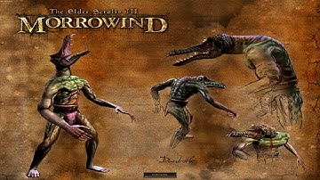 Enabling disant land rendering in Morrowind with MGE XE in 2020