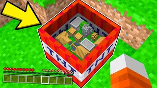 ¡Minecraft PERO hicimos una MINI aldea dentro de una TNT! 😁💥 | MINI Casa en TNT