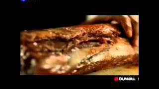 Download lagu Globaltv Dunhill Mild 23 20 (01/03)