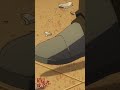 「いいかげん…！【盾の勇者 Season 1】」