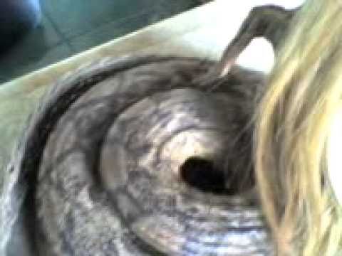 Human Birth a Baby with Snake Body and Old Human Face.3gp - YouTube