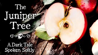 The Most Disturbing Fairytale: The Juniper Tree (ASMR Soft Spoken) Profile