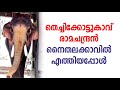 രാമൻ നൈതലക്കാവിൽ എത്തിയപ്പോൾ 04/03/2020 | Thechikkottikavu Ramachandran Latest 2020