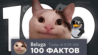 100 фактов про БЕЛУГУ (Beluga)