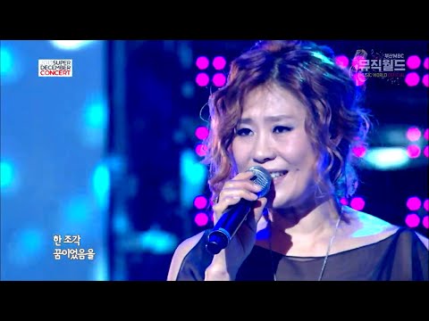 신효범 《난 널 사랑해 & 사랑하게 될 줄 알았어》 2013슈퍼디셈버콘서트 131222 / [고화질 / 고음질]