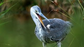 4K stock-footage 2014 - 03, Lake &quot;Haunesee&quot;, Germany