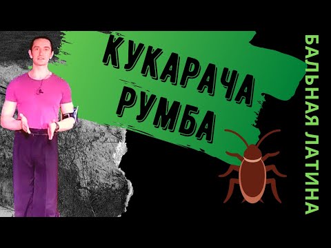 Кукарача Изначально без Кьюбн Экшена/ Что такое Кукарача/ Восьмерка/ Лекция Румба/ История Фигуры