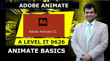 A LEVEL IT 9626 ANIMATE BASICS