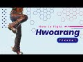 VS Hwoarang | Everything You Need To Know.