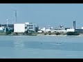 未確認生物!? 「ムッシー」の映像 兵庫・加古川で目撃者多数