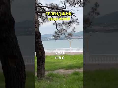 Геленджик Сады Морей Купить Апартаменты