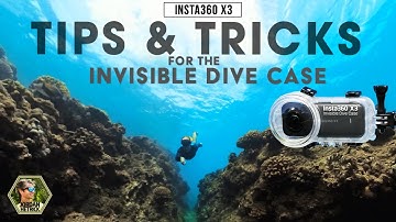 Insta360 X3/X4 Invisible Dive Case Tips & Tricks | BEST SETTINGS
