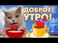 МУР ,вставай , готовь бутерброды.. Доброе утро, пожелание от Котика #Мирпоздравлений