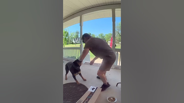 Dog becomes friends with the UPS delivery guy! 🤩❤️  -  🎥 Viralhog