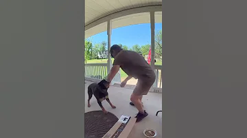 Dog Becomes Friends With The UPS Delivery Guy Viralhog 