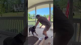 Dog becomes friends with the UPS delivery guy! 