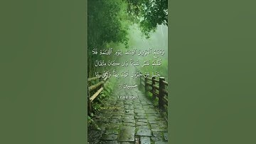 #اكسبلور #تلاوة_خاشعة #لايك #quran #تيك_توك #قرآن #راحة_نفسية