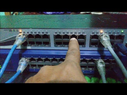 vlan setup - configuring vlans and trunking - dlink - netgear (tutorial)