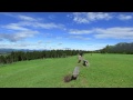 阿蘇 久住高原 Aso Kuju National Park Japan