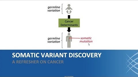 11. Somatic Variant Discovery