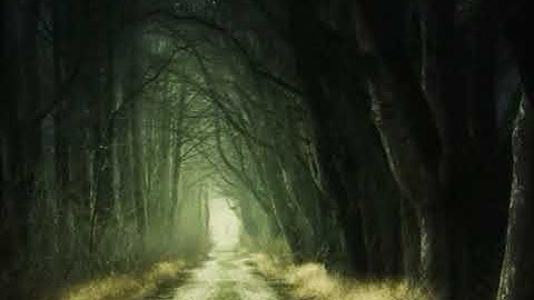 Grains of sand  official video