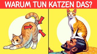 😼 15 Seltsame Verhaltensweisen von Katzen Endlich Erklärt! (Nummer 10 ist Erstaunlich)