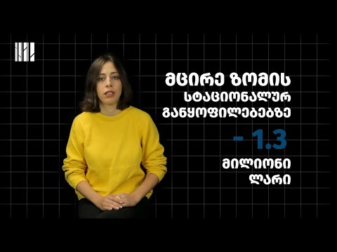 რატომ ცხოვრობენ ფსიქო-სოციალური საჭიროების მქონე ადამიანები კვლავ დიდ დაწესებულებებში?