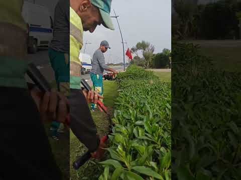 الاناقة في العمل يبقى العامل البسيط داىما محترف