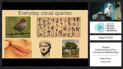 Visipedia: Combining data, machines and experts to distill knowledge