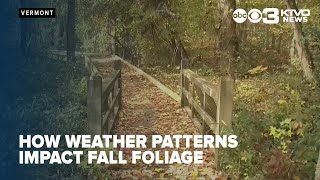 How weather patterns impact the fall foliage