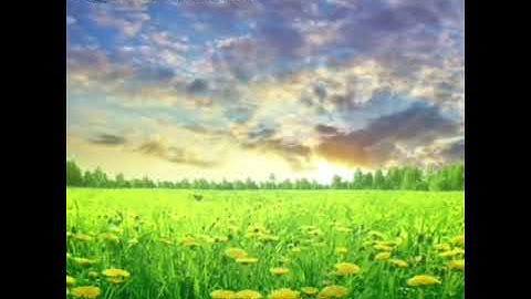 ( عالم الغيب والشهادة ) القارئ أحمد الشاذلي